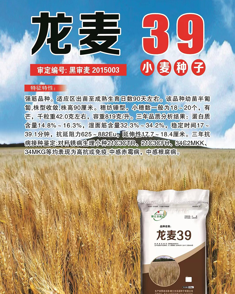 龍麥種子 龍麥種子