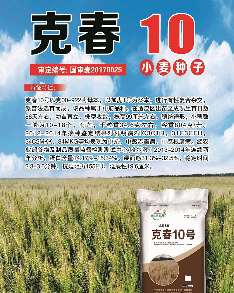 黑河小麥種子 黑河小麥種子