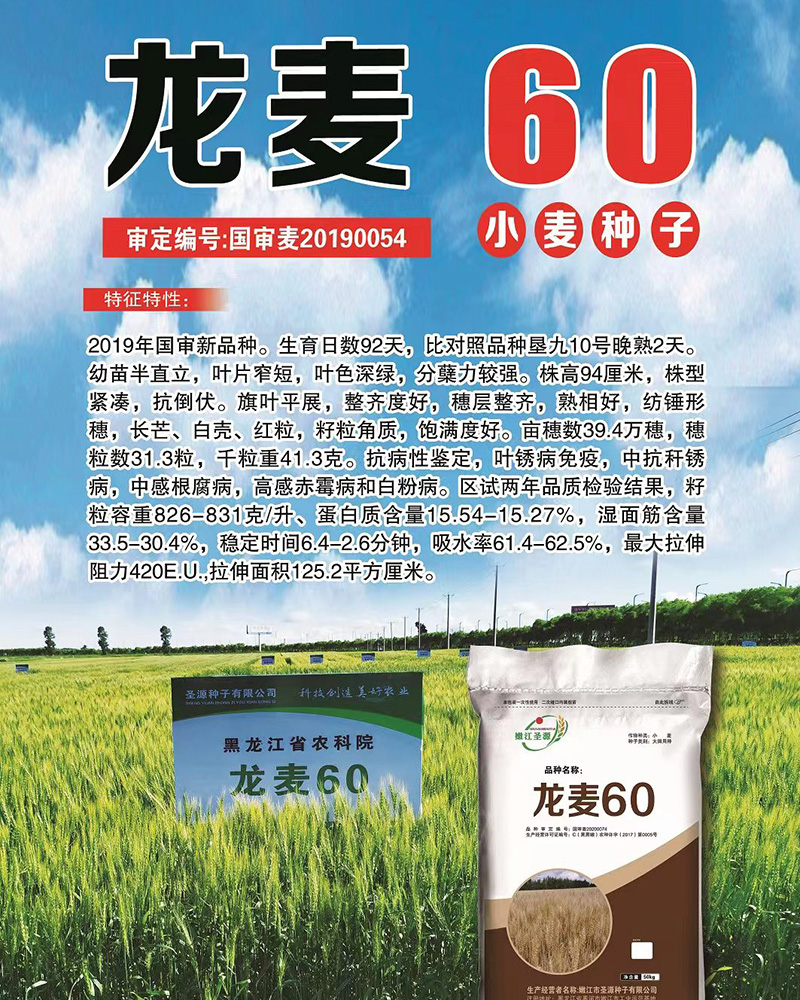 龍麥種子 龍麥種子